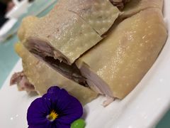 -新吉士·上海菜(浦东LCM置汇旭辉店)