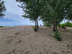 -东郊湿地公园