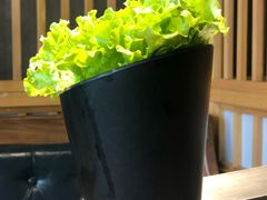 -九田家黑牛烤肉料理(珠江摩尔店)