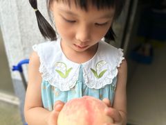 -老袁家蜜桃农场·阳山水蜜桃