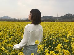 -西海岸生态观光园