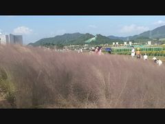 -光明小镇欢乐田园
