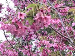 -梁鸿国家湿地公园