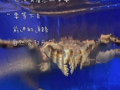 -万达广场(本溪店)