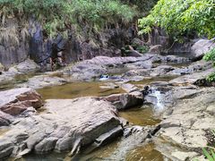 -广州白江湖森林公园