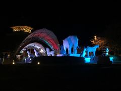 -清迈夜间动物园