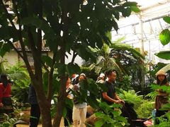 -海南热带野生动植物园