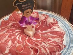 -阳坊胜利涮羊肉(阳坊老店)