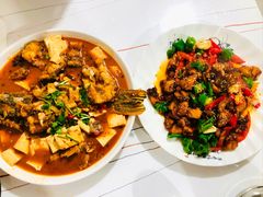 -煲来饱去冷水鱼