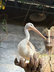 -Zoolung Zoolung动物主题公园(海信广场店)