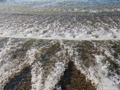 -洨河生态公园