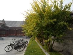 -北京颐和宾馆