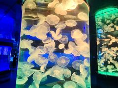 -左海海底世界