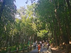 -灵岩山风景区