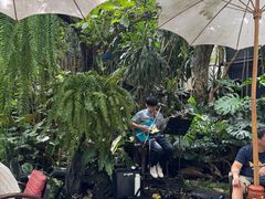 -Fern Forest Cafe