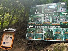 -西双版纳原始森林公园