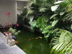 -漫笙舍Manse·咖啡·民宿