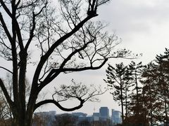 -景福宫