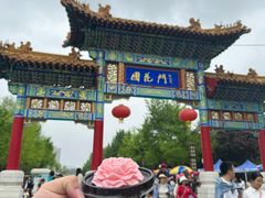 -曹州牡丹园