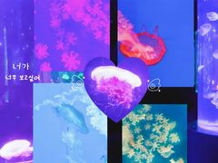 -南昌海洋公园