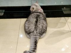-Oasis绿洲银饰珍珠手作diy(壹方城店)