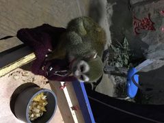 iphone_upload_pic-泉城欧乐堡海洋极地世界