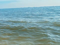 -北海金海湾红树林生态旅游区