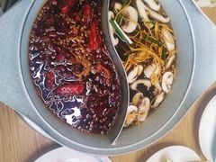 -青瓷火锅料理(西单大悦城店)