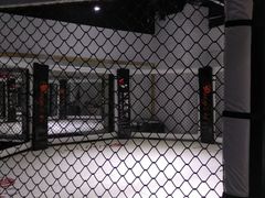 -成杰格斗·拳击·柔术·防身术(建设路店)