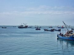 -枸杞岛