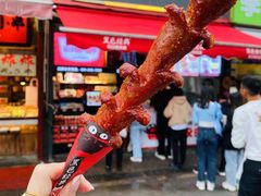 黑色经典老长沙大香肠-黑色经典臭豆腐·湖南特产(步行街店)