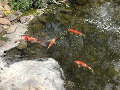 -好利来(八里庄店)