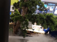-洪氏嗨捞·猪肚鸡火锅(阳光天地店)