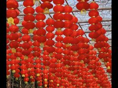 -渭南桃花源民俗文化园