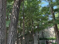 -阳台山自然风景区