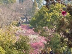 -无锡梅园公园