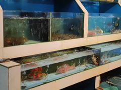 水产区-原龙海鲜大排档(美食地标店)