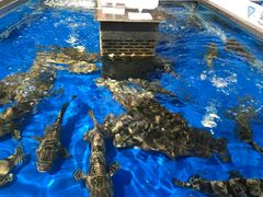 -盒马鲜生(莱蒙都会店)