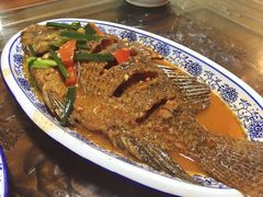 红烧洱海鱼-阿鹏故事云南野生菌火锅(人民路店)