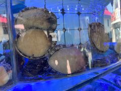 -日照大牌檔•小船海鲜(万平口店)