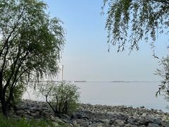 -上海吴淞炮台湾国家湿地公园