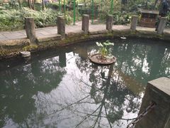 -成都市活水公园