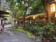 -成飞公园
