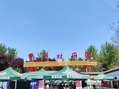 -曹州牡丹园