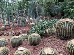 -呀路古热带植物园