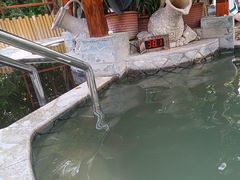 -碧水湾温泉