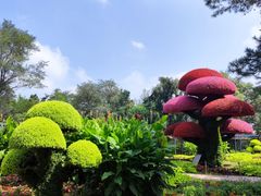 -沈阳植物园