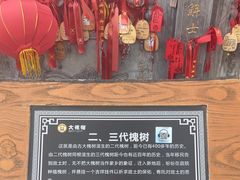 -大槐树寻根祭祖园