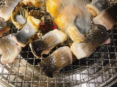 吉力烤鳗鱼-吉力烤鳗