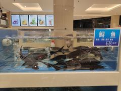 -双井轩(双井店)